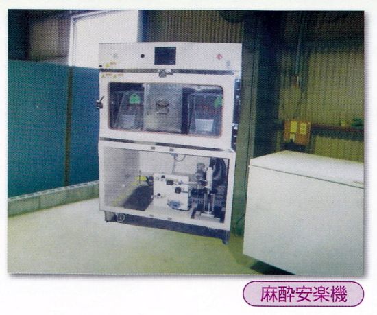 nac-process-105